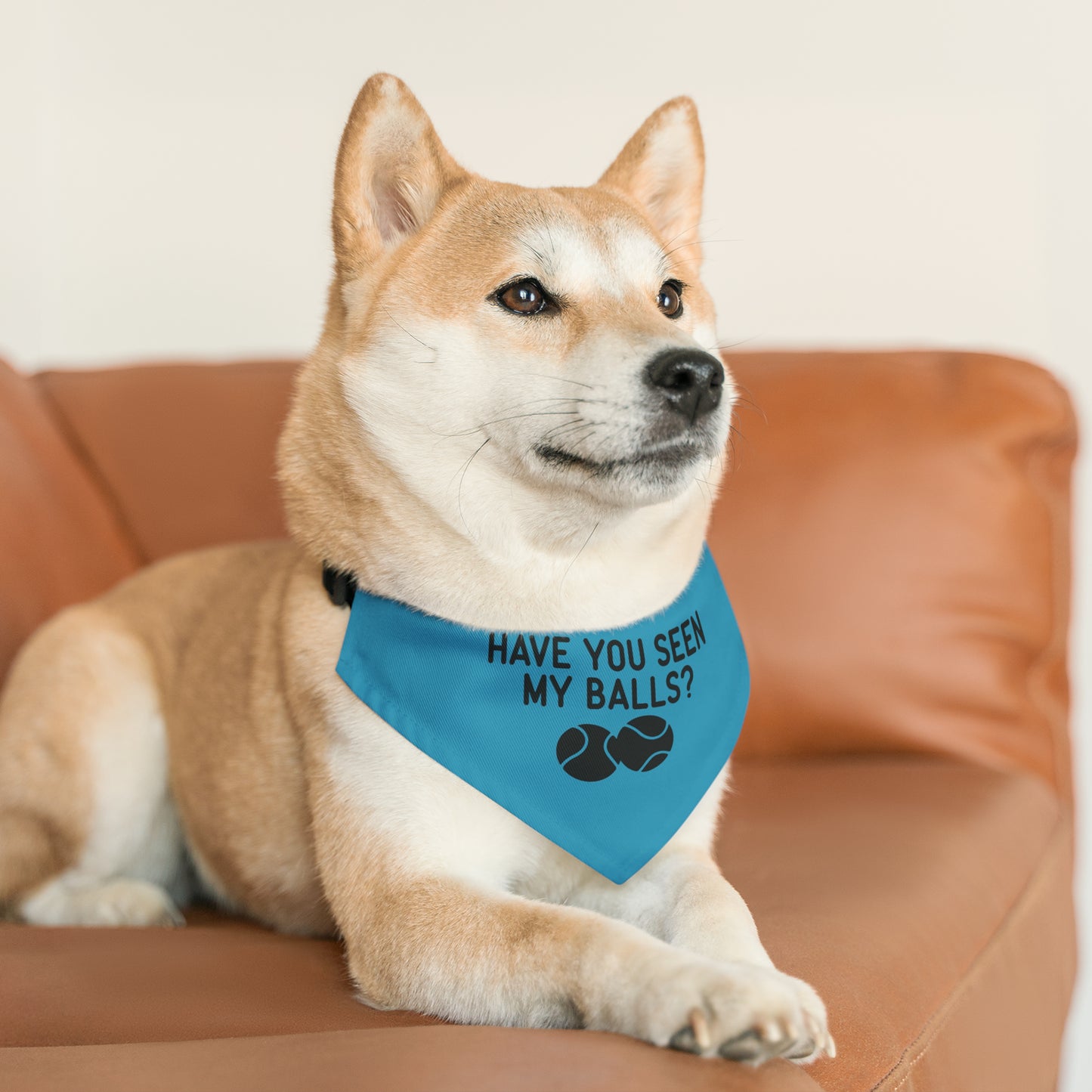 Well, have you? Bandana Collar