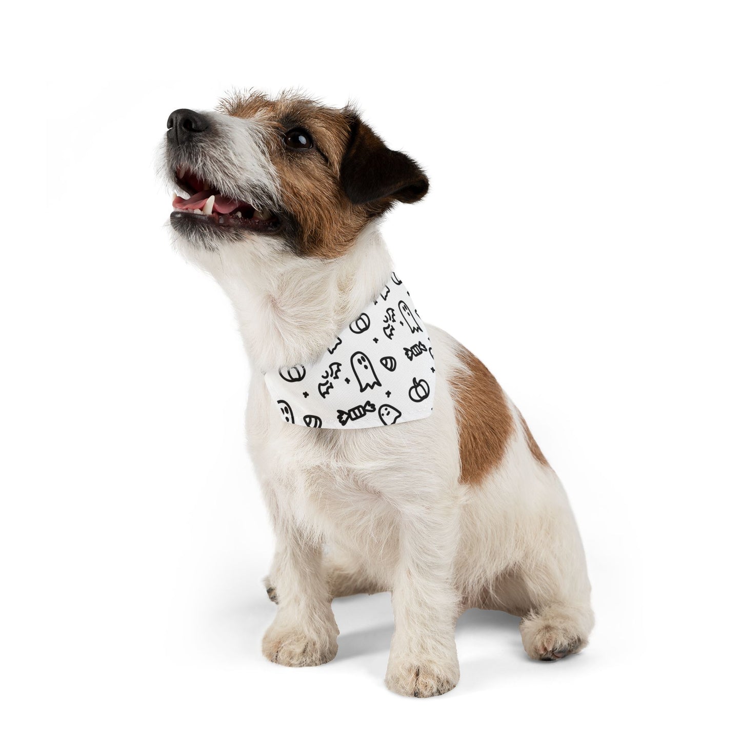 Spook-tacular Bandana