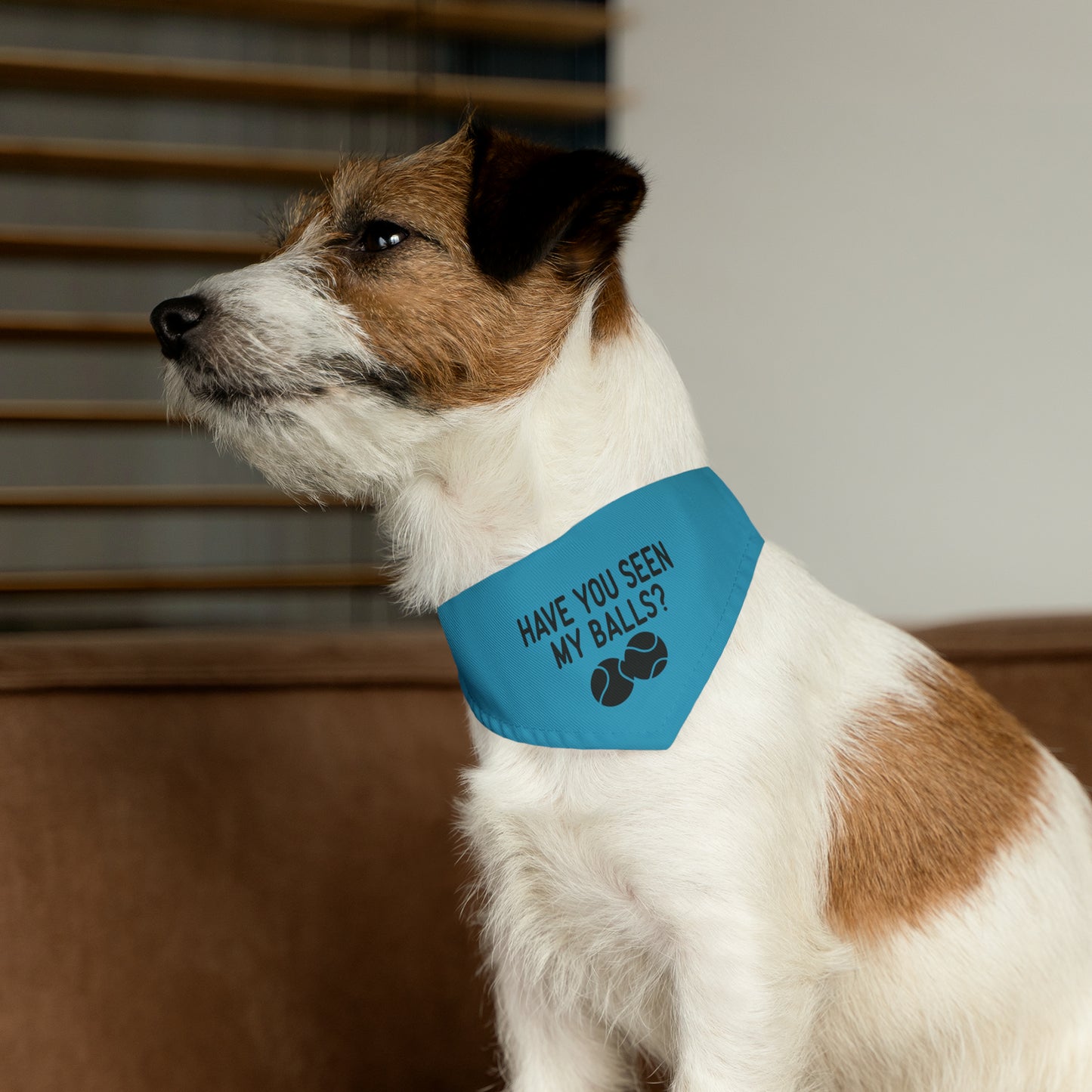 Well, have you? Bandana Collar