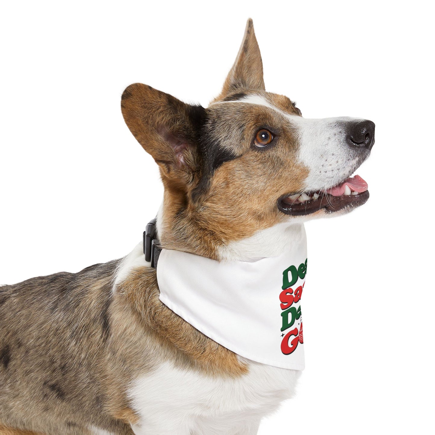 'Dear Santa, Define Good' - Holiday Accessory for Dogs